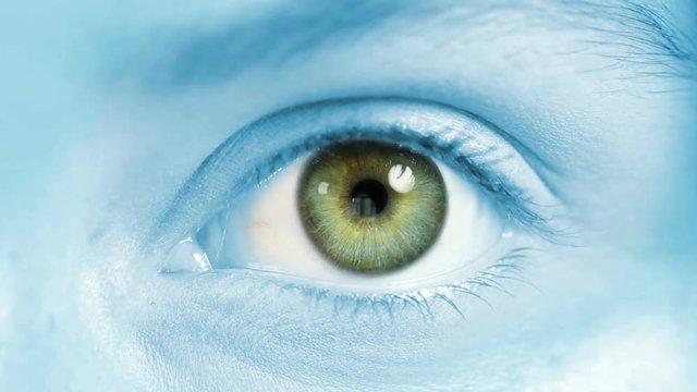 Human Eye. Green. Blue and regular skin. 2 in 1. Close-up of a colored eye blinking. Each video is loopable. More options in my portfolio.  