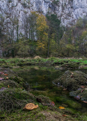 Yellow colorful tree in canyon during autumnal morning 