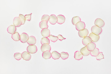 Inscription sex by petals of roses on a white background.