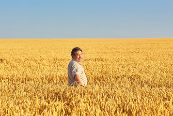 Naklejka na ściany i meble Farmer walking through a golden wheat field