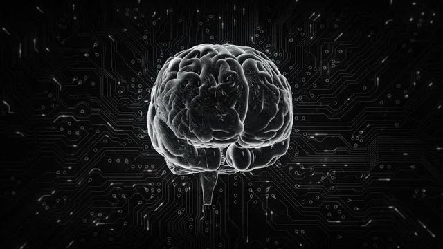 Spinning brain with circuit board background. Loopable. Black and white. Orange. Technology. More options in my portfolio.