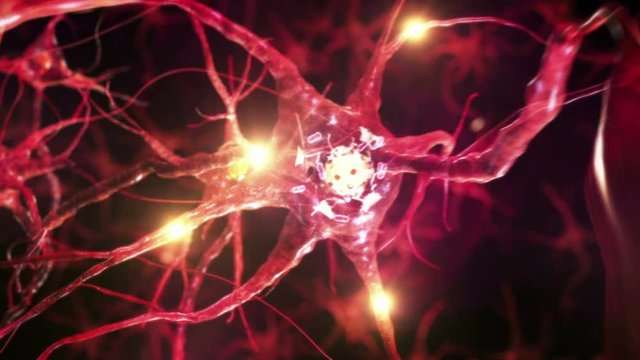 Human head and brain with neurons flashing. Electric impulses. Biology. Loopable. Dolly in inside a 3D human head to a brain with neurons during synapsis. More options in my portfolio. 