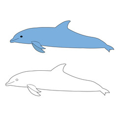 isolated, drawing dolphin, coloring book