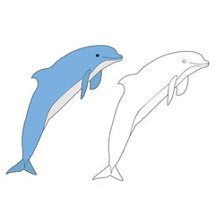vector, isolated, drawing dolphin, coloring book