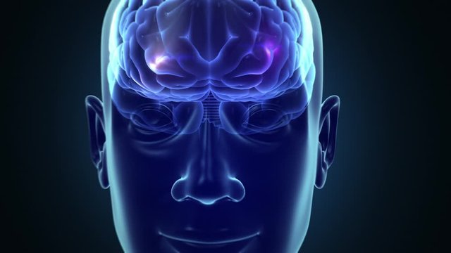 From a circuit board to a human head and brain. Technology. Loopable. Dolly out.