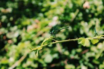 Processed with VSCO with c1 preset