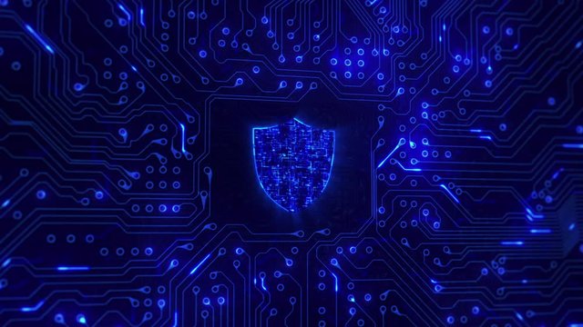 Network security. Shield with circuit board. Firewall. Technology. Loopable. Zoom. Computer security. Blue. More options in my portfolio. 