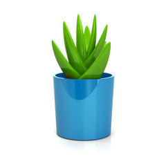 Succulent in blue Plant Pot Icon 3d Illustration