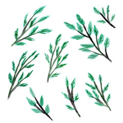 Set of eight watercolor clipart of branches with green leaves, isolated on white background. Hand-drawn illustration, design element for spring, eco or natural concept