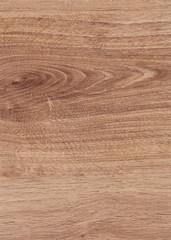 Texture of beautiful wooden veneer, natural background. Extremely high resolution Illustration