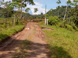 Fototapeta na wymiar Feldwege mit einem Tor versperrt im Norden von Costa Rica bei Boca Tapada.