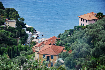 Panorama del Mar Ligure dalla frazione di Sant'Ambrogio a Zoagli © Fabio Caironi