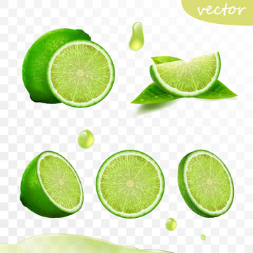 3D realistic vector set of elements, whole lime, sliced lime, drop lime oil, leaves