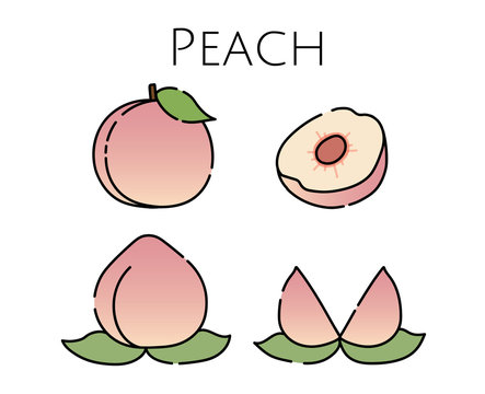 桃 イラスト Stock Photos And Royalty Free Images Vectors And Illustrations Adobe Stock 桃 イラスト Stock Photos And Royalty Free Images Vectors And Illustrations Adobe Stock