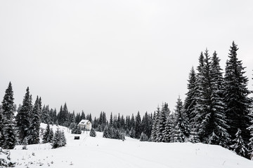 small house in snowy mountains with pine forest