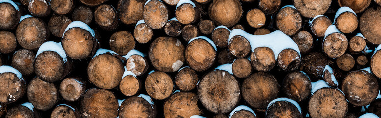 stack of wooden logs covered with pure snow, panoramic shot - Powered by Adobe