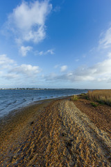 A view of the Christchurch (UK) harbor with sandy beach and reed in the foreground and houses in the background under a majestic blue sky and some white clouds