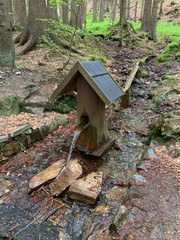 Birdhouse with small waterfall, national park