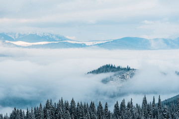 scenic view of snowy mountains with pine trees in white fluffy clouds