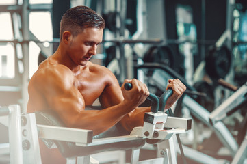 Young Handsome Muscular Men Exercising in the Gym