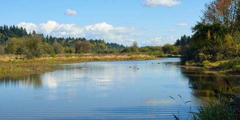 Fototapeta na wymiar Panoramic view of the Salmon Creek near Vancouver city in Washington.