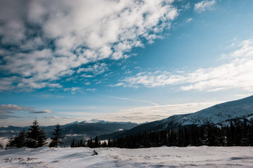 Scenic view of snowy mountains with pine trees in white fluffy clouds