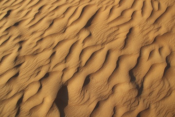 textured with shadows ripples in the sand of desert dune in evening light