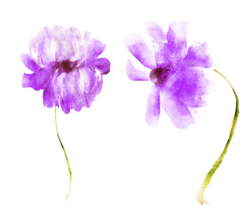Fototapeta na wymiar Watercolor flowers , isolated on white background