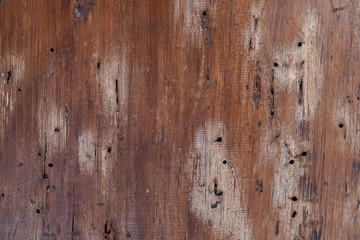 Wood damaged by insects bore