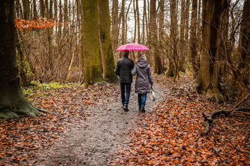 Senior couple walking in autumn forest with pink umbrella