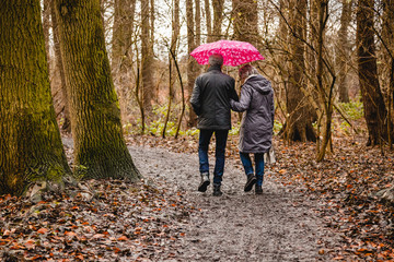 Senior couple walking in autumn forest with pink umbrella