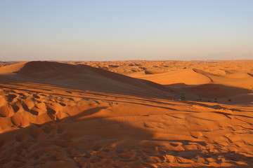 sand dunes in the desert with snadows in the evening light with blue sky