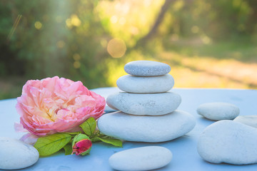 Sea stones pyramid, rose flower head on the white table in the summer garden on sunlight