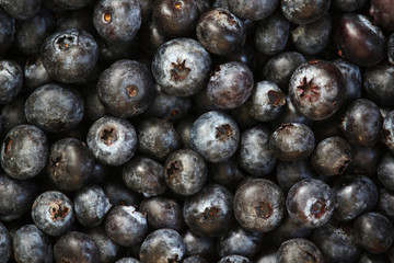 Background formed with ripe blueberry