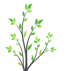 Silhouette of a branch with green leaves. Young tree. Spring background concept.