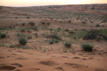 Emirate RAK desert landscape in evening light 