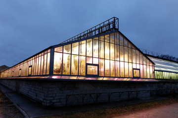 Fototapeta premium Phyto lamps for plant growth in the winter season in the greenhouse / hothouse. Artificial lighting of plants in short daylight conditions