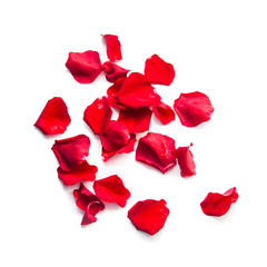 Group of red rose petals isolated on white background