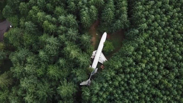 Cinematic Aerial View on Unique Scenery, Landed Aircraft in Middle of Evegreen Forest, Top Down Birdseye Overview