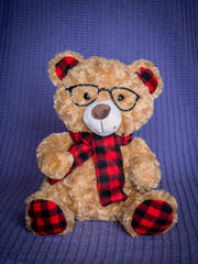 Bear with glasses