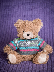 Bear in sweater