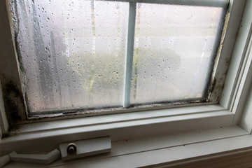 Mold fungus and moist in left corner of window frame and on glass 