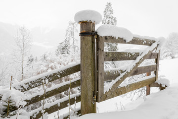 Wooden fence covered with snow