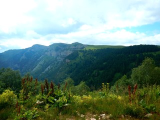 view of mountains