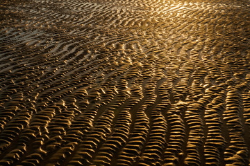 golden color ripple patterns on low tide sand on the beach at sunset