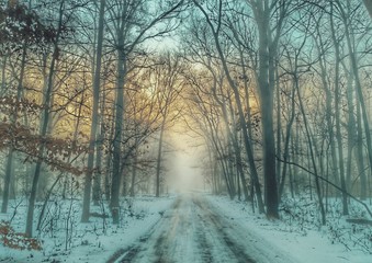 A Long Snowy Road