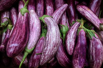 Harvested ripe fruit of striped purple eggplant graffiti