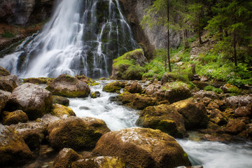 waterfall in forest with rocks