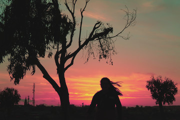 silhouette of a tree in sunset