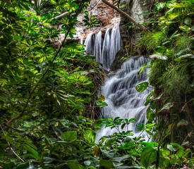 Tropical Vegetation and Waterfall
